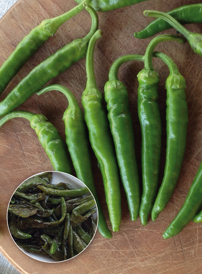 TM282 - Sweet Frying Peppers Green Peperone Puparuillo 99% Germination NON-GMO