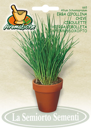 665 - Chive Erba Cipollina NON-GMO