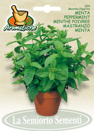 654 - Peppermint Menta NON-GMO