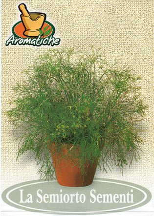 652 - Dill Aneto Comune NON-GMO