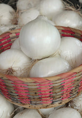TM156 - Agostana Cipolla Onions
