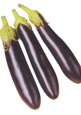 TM252 - Eggplant Long Melanzana Mirianna 99% Germination NON-GMO
