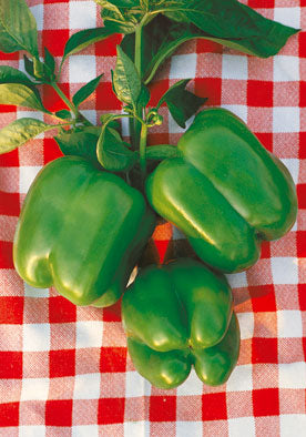 272 - Sweet Green Bell Peppers