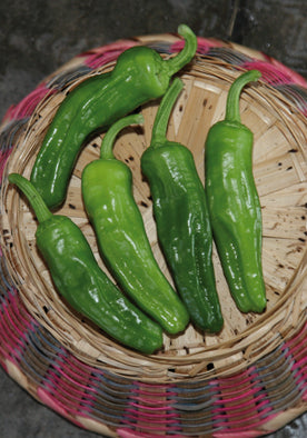 283 - Sweet Frying Peppers Green Peperone Friariello NON-GMO