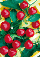 288 - Cherry Chili Pepper Peperone Ciliegia Piccante NON-GMO