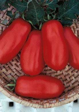 300 - San Marzano 2 Heirloom Tomato Pomodoro (INDETERM) D.O.P. NON GMO