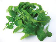 358 - Arugula Cultivated Rucola Coltivata NON-GMO