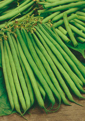 FAG381TM - Baby String Bush Beans Fagiolo Nano Parigino NON-GMO