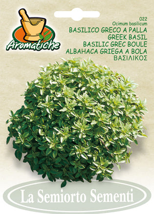 22 - Greek Basil Basilico Greco A Palla NON-GMO