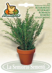 670 - Rosemary Rosmarino NON-GMO
