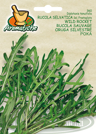 360 - Seeds NON-GMO Rocket Salerno Selvatica | Arugula Rucula Wild